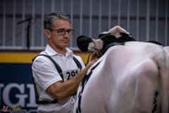 DSC00539-2 DSC00539-2