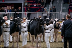 DSC00567-2 DSC00567-2