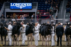 DSC00570-2 DSC00570-2