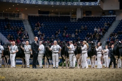 DSC00575-2 DSC00575-2