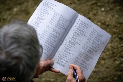 DSC00591-2 DSC00591-2