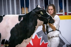 DSC00643-2 DSC00643-2