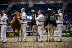 DSC00648-2 DSC00648-2