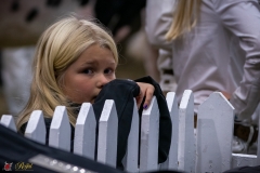 DSC00651-2 DSC00651-2