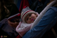 DSC00658-2 DSC00658-2