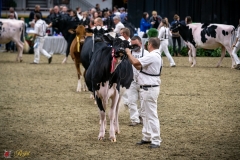 DSC00673-2 DSC00673-2