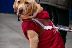 DSC00679-2 DSC00679-2