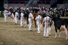 DSC00686-2 DSC00686-2