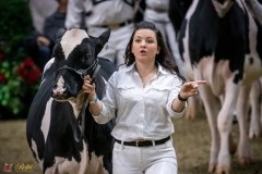 DSC00689-2 DSC00689-2