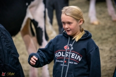 DSC00699-2 DSC00699-2