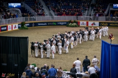 DSC00714-2 DSC00714-2