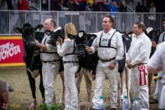 DSC00719-2 DSC00719-2