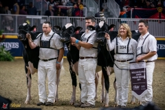 DSC00733-2 DSC00733-2