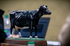 DSC00734-2 DSC00734-2