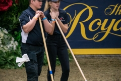 DSC00749-2 DSC00749-2