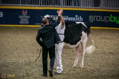 DSC00773-2 DSC00773-2