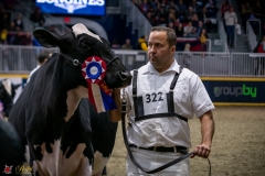 DSC00786-3 DSC00786-3