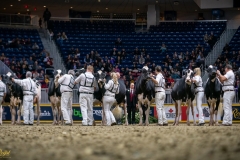 DSC00788-3 DSC00788-3