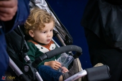 DSC00812-3 DSC00812-3