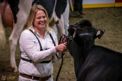 DSC00842-3 DSC00842-3