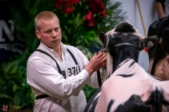 DSC00848-3 DSC00848-3