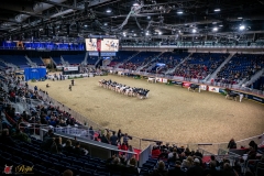 DSC00890-3 DSC00890-3