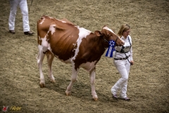 DSC00897-3 DSC00897-3