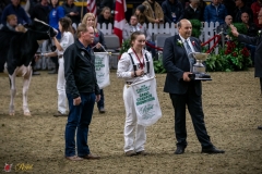 DSC00915-3 DSC00915-3