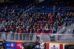 DSC00921-3 DSC00921-3