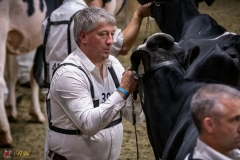 DSC00926-3 DSC00926-3