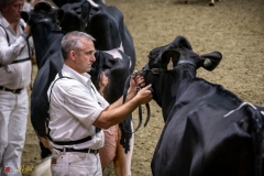 DSC00927-3 DSC00927-3