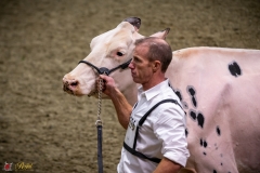 DSC00933-3 DSC00933-3