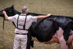 DSC00935-3 DSC00935-3