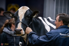 DSC00957-3 DSC00957-3