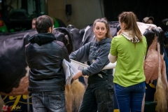 DSC00960-3 DSC00960-3