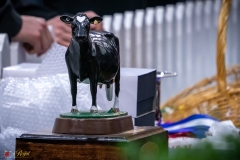 DSC00964-3 DSC00964-3