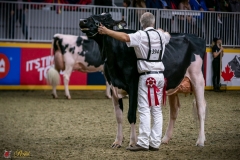 DSC00966-3 DSC00966-3