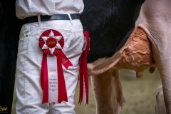 DSC00967-3 DSC00967-3