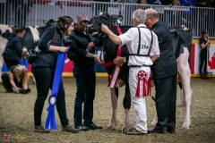 DSC00970-3 DSC00970-3