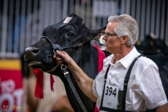 DSC00978-3 DSC00978-3