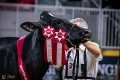 DSC00981-3 DSC00981-3