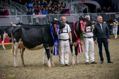 DSC00986-3 DSC00986-3