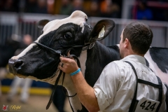 DSC01010-3 DSC01010-3