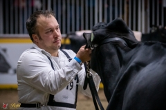 DSC01016-3 DSC01016-3