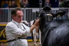 DSC01019-3 DSC01019-3