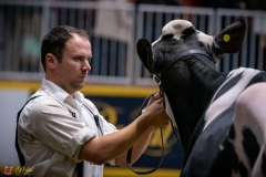 DSC01028-3 DSC01028-3