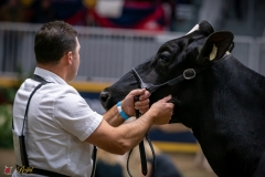 DSC01030-3 DSC01030-3
