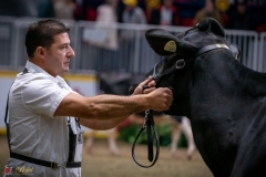 DSC01032-3 DSC01032-3