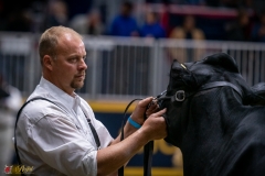 DSC01046-3 DSC01046-3