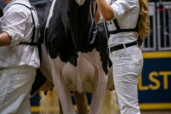 DSC01060-3 DSC01060-3